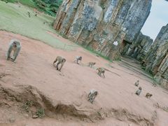 -海南热带野生动植物园