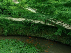-虎跑公园