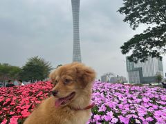 -二沙岛艺术公园