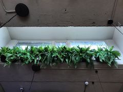 -小意思咖啡店(草桥店)