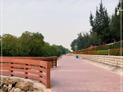 -宝安西湾红树林湿地公园