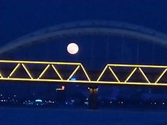 -人民防洪胜利纪念塔