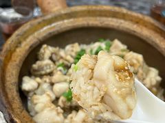 -红星光发煲仔饭(大石街店)