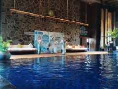 -清河半岛温泉度假酒店