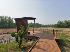 -东郊湿地公园