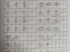 -赵汝飞练字硬笔书法(静安寺校区)