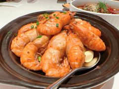 -洋洋中餐馆·SINCE 1997(龙湖星湖天街店)