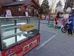 -绿野森林乐园冰雪季