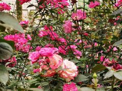 -人民公园(罗湖区)