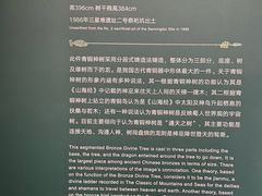 -遇见博物馆(遇见海洋沉浸式奇幻光影展)
