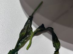 -王捌小院(红花坡店)
