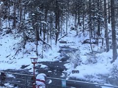 -峡谷浮石林景区