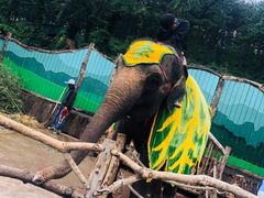 -大连森林动物园