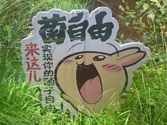 -菌自由丨野生菌火锅特色庭院餐厅(丽江古城店)