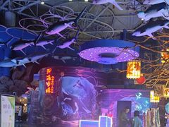 -烟台海昌鲸鲨海洋公园