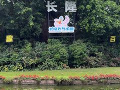 -广州长隆飞鸟乐园