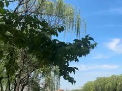 -WhaleSports户外水上运动俱乐部(朝阳公园店)