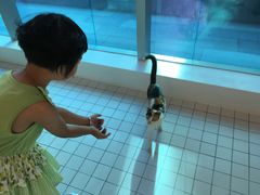 -ID.PHOTO照相馆(嘉里企业中心店)