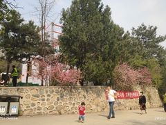 -北京鹫峰国家森林公园