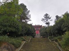 -铁山坪森林公园