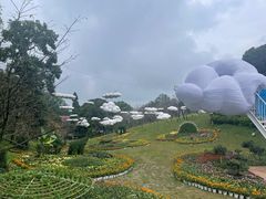 -南山植物园