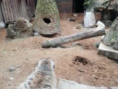 -昆明动物园
