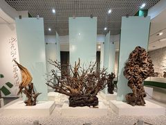 -吉林市博物馆