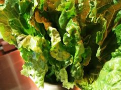 -又见炊烟炭火烤肉(五一新村店)