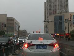 -向阳羊汤(大同总店)