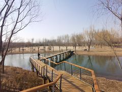 -东郊湿地公园