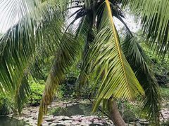 -白沙门生态公园