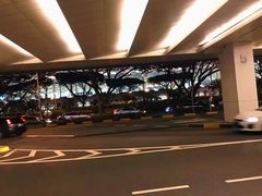 -樟宜机场免税店