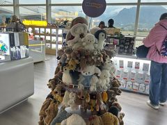 -张家界荷花国际机场