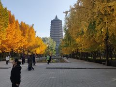 -玲珑塔公园
