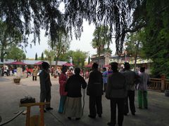 -大槐树寻根祭祖园