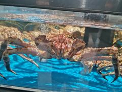 -盒马鲜生(岭南新世界店)