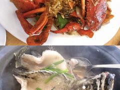 清蒸石斑鱼-ZF Seafood Restaurant 卓峰海鲜餐