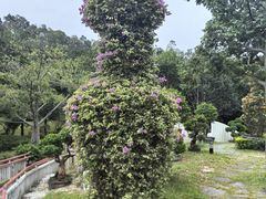 -东莞植物园