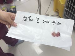-瑞鹏宠物医院·眼科·皮肤·中兽医(大悦城分院)