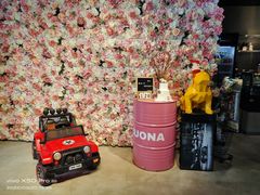 -百好乐宠物友好餐厅(朝外大街店)