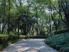 -杭州半山国家森林公园