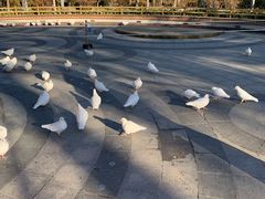 -南宫五洲植物乐园