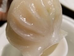 -金碧轩粤菜海鲜大酒楼