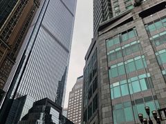 -WFC会仙楼观景台