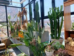 -北马山庄植趣咖啡
