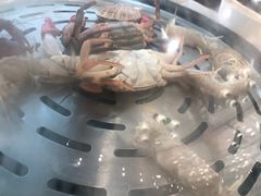-同道蒸汽海鲜烧烤自助(刘庄夜市店)
