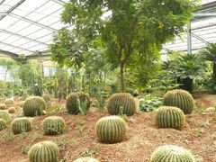 -呀路古热带植物园