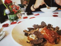 -蝶舍·MAISON PAPILLON