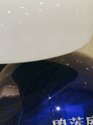 -碧莲盛·不剃发植发