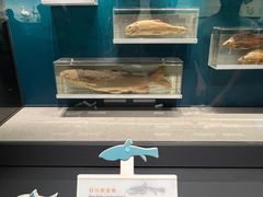 -四川大学博物馆